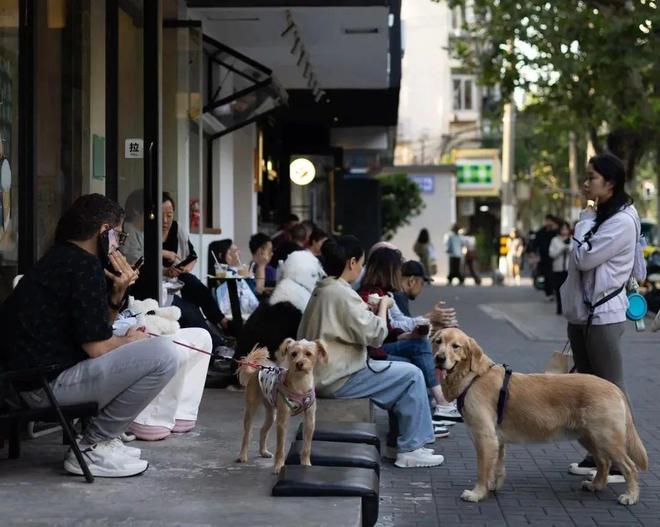 轻人抛弃了双11爱上了“老年严选”AG真人百家家乐APP这届脆皮年(图13)